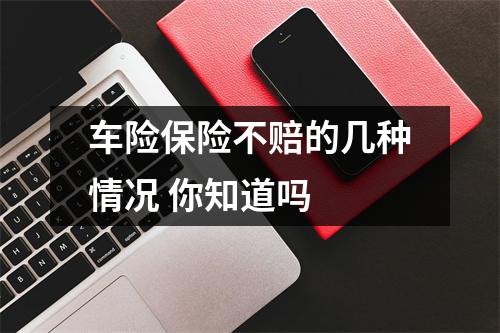 车险保险不赔的几种情况 你知道吗