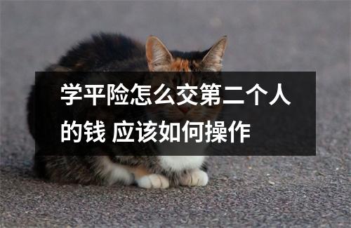 学平险怎么交第二个人的钱 应该如何操作