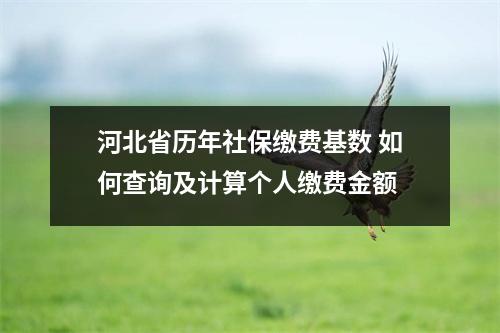 河北省历年社保缴费基数 如何查询及计算个人缴费金额