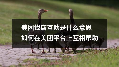美团找店互助是什么意思 如何在美团平台上互相帮助