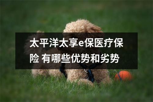太平洋太享e保医疗保险 有哪些优势和劣势