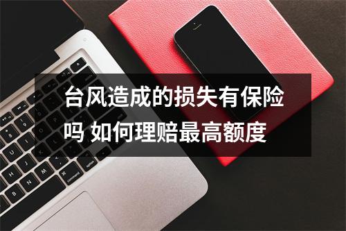 台风造成的损失有保险吗 如何理赔最高额度