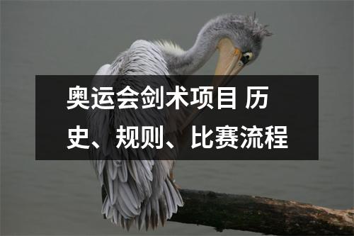 奥运会剑术项目 历史、规则、比赛流程