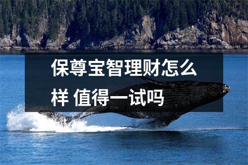 保尊宝智理财怎么样 值得一试吗 