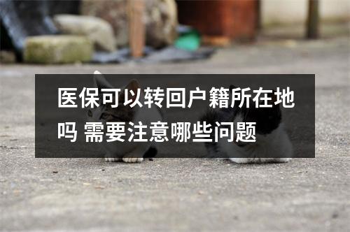 医保可以转回户籍所在地吗 需要注意哪些问题