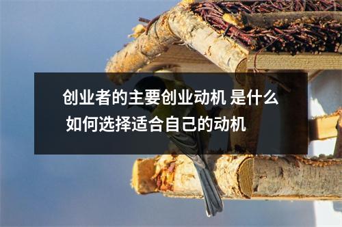 创业者的主要创业动机 是什么 如何选择适合自己的动机 
