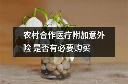 农村合作医疗附加意外险 是否有必要购买