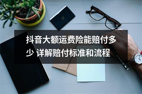 抖音大额运费险能赔付多少 详解赔付标准和流程