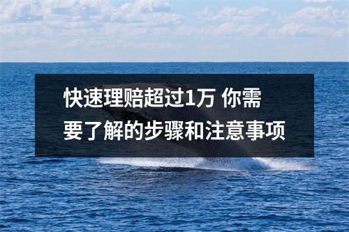 快速理赔超过1万 你需要了解的步骤和注意事项