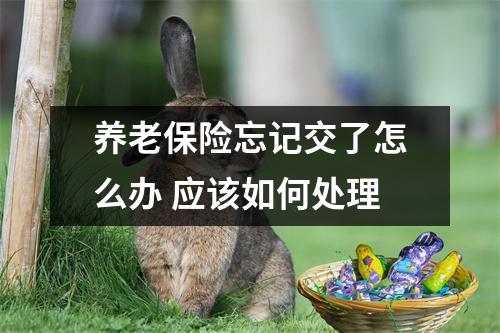 养老保险忘记交了怎么办 应该如何处理