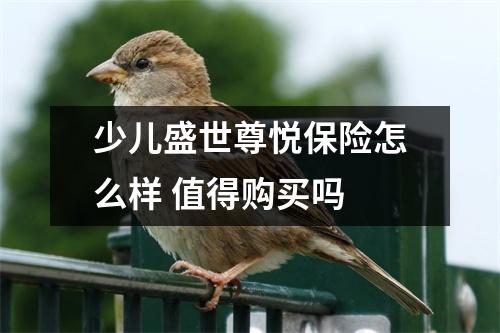 少儿盛世尊悦保险怎么样 值得购买吗 