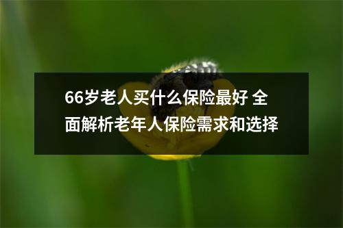 66岁老人买什么保险最好 全面解析老年人保险需求和选择
