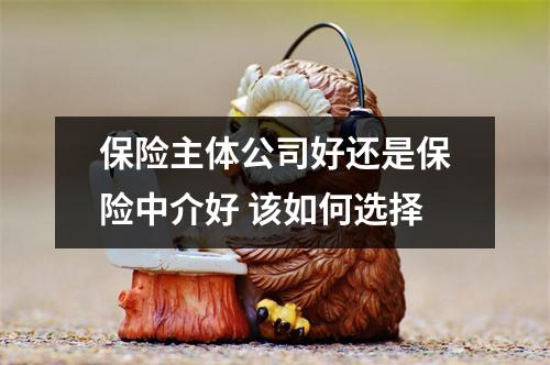 保险主体公司好还是保险中介好 该如何选择