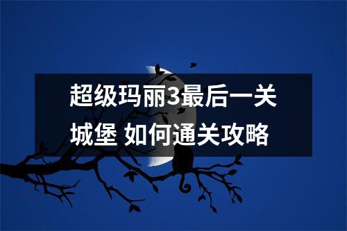 超级玛丽3最后一关城堡 如何通关攻略