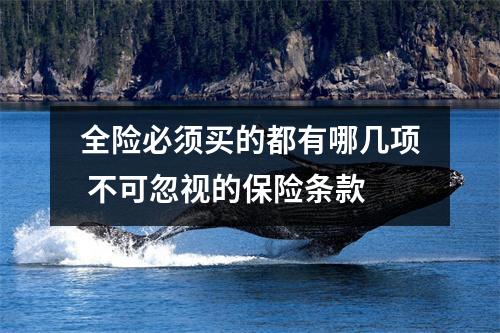 全险必须买的都有哪几项 不可忽视的保险条款
