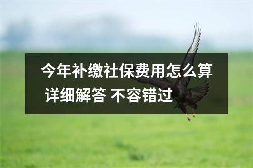 今年补缴社保费用怎么算 详细解答 不容错过