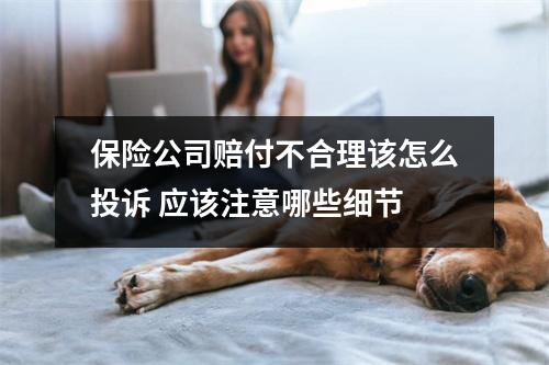 保险公司赔付不合理该怎么投诉 应该注意哪些细节