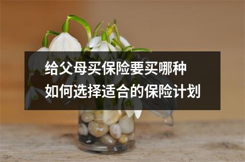 给父母买保险要买哪种 如何选择适合的保险计划