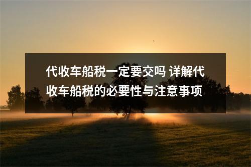 代收车船税一定要交吗 详解代收车船税的必要性与注意事项