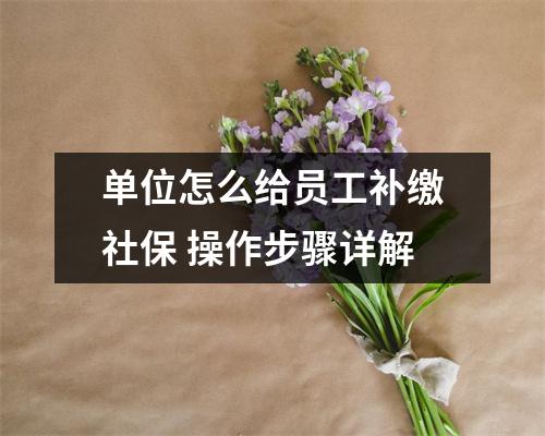 单位怎么给员工补缴社保 操作步骤详解