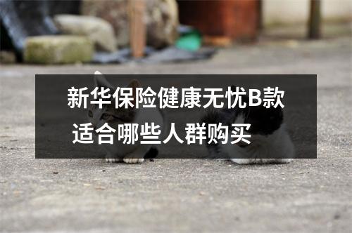 新华保险健康无忧B款 适合哪些人群购买 