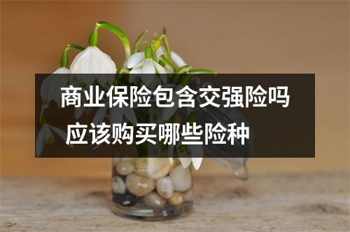 商业保险包含交强险吗 应该购买哪些险种