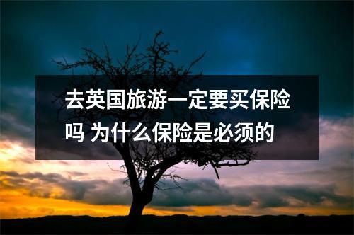 去英国旅游一定要买保险吗 为什么保险是必须的
