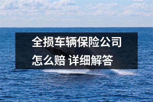 全损车辆保险公司怎么赔 详细解答