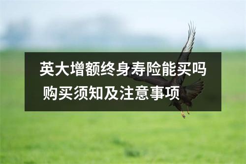 英大增额终身寿险能买吗 购买须知及注意事项
