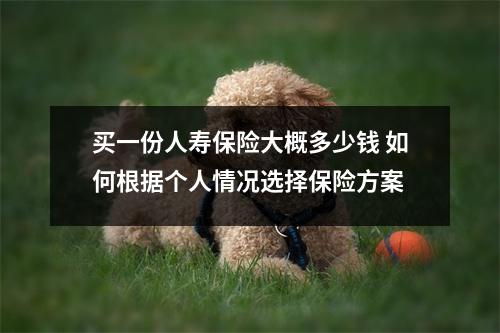 买一份人寿保险大概多少钱 如何根据个人情况选择保险方案