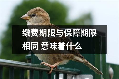 缴费期限与保障期限相同 意味着什么