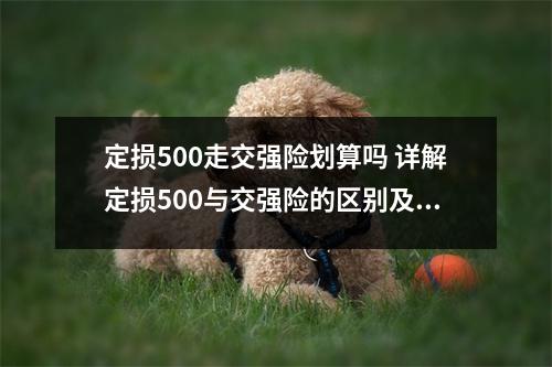 定损500走交强险划算吗 详解定损500与交强险的区别及优缺点