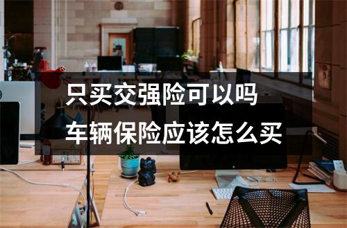 只买交强险可以吗 车辆保险应该怎么买