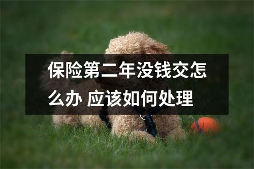 保险第二年没钱交怎么办 应该如何处理