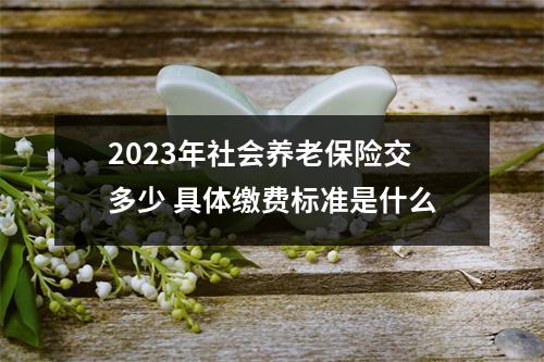 2023年社会养老保险交多少 具体缴费标准是什么