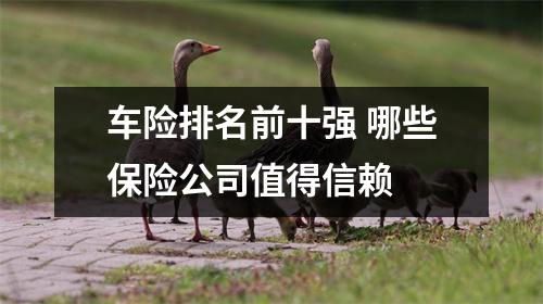 车险排名前十强 哪些保险公司值得信赖 