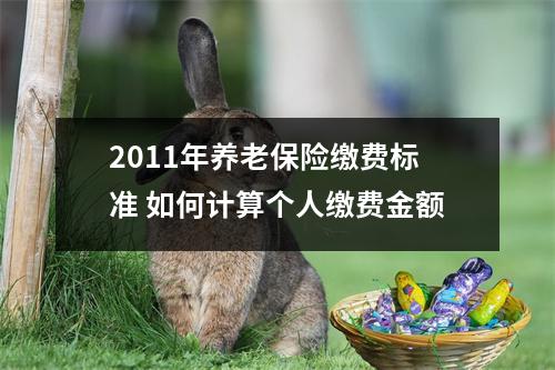 2011年养老保险缴费标准 如何计算个人缴费金额