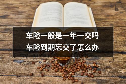 车险一般是一年一交吗 车险到期忘交了怎么办 