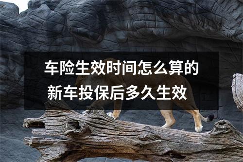 车险生效时间怎么算的 新车投保后多久生效