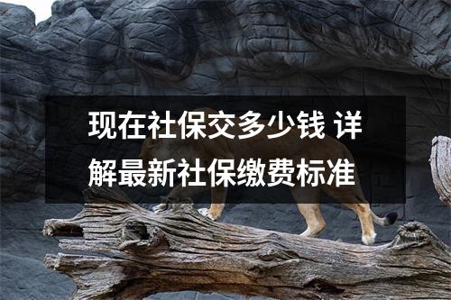 现在社保交多少钱 详解最新社保缴费标准
