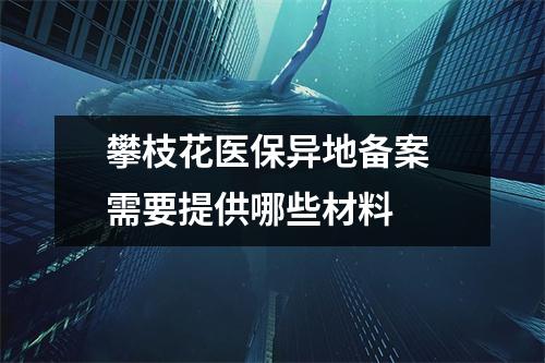 攀枝花医保异地备案 需要提供哪些材料 