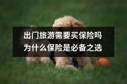 出门旅游需要买保险吗 为什么保险是必备之选