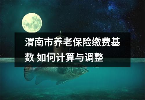 渭南市养老保险缴费基数 如何计算与调整