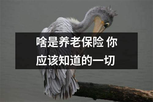 啥是养老保险 你应该知道的一切