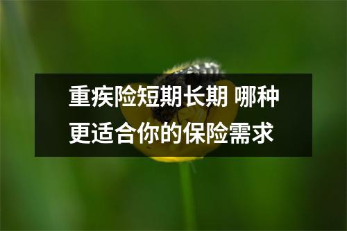 重疾险短期长期 哪种更适合你的保险需求