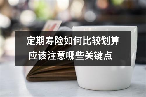 定期寿险如何比较划算 应该注意哪些关键点