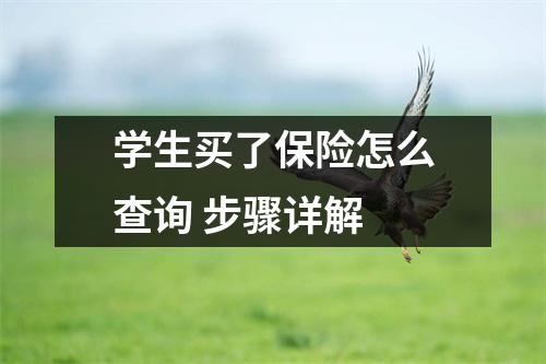 学生买了保险怎么查询 步骤详解