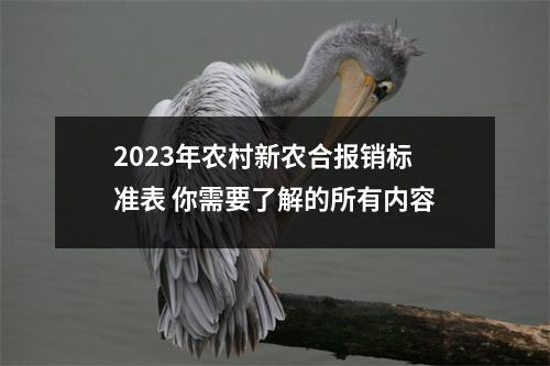 2023年农村新农合报销标准表 你需要了解的所有内容