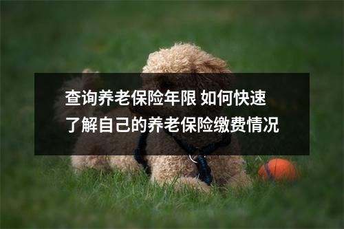 查询养老保险年限 如何快速了解自己的养老保险缴费情况
