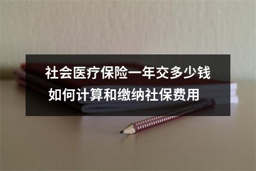 社会医疗保险一年交多少钱 如何计算和缴纳社保费用